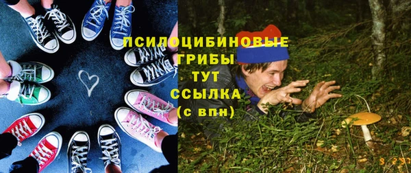 гидра Алзамай