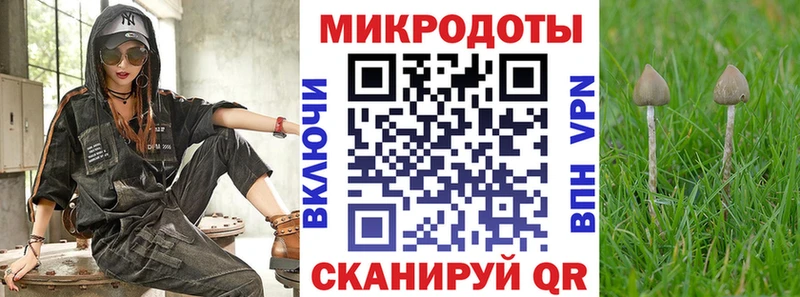 Галлюциногенные грибы мицелий  Купить закладки  Советская Гавань 